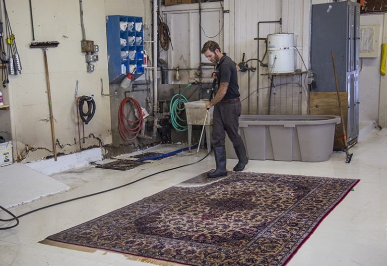 Oriental Rugs Star Rug Cleaners