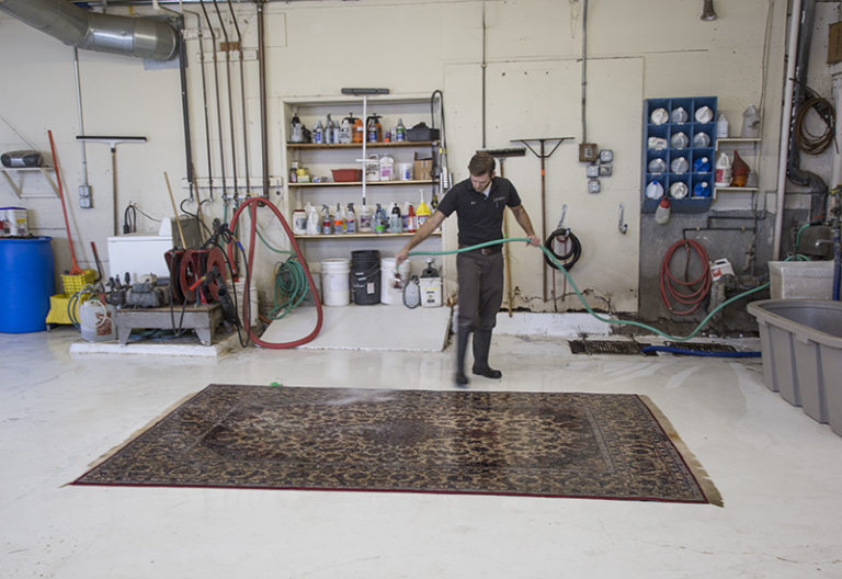 Oriental Rugs Star Rug Cleaners